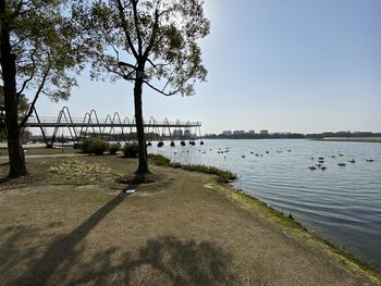 Scenic view of river against clear sky