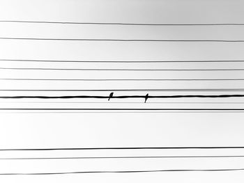 Low angle view of power lines against white background