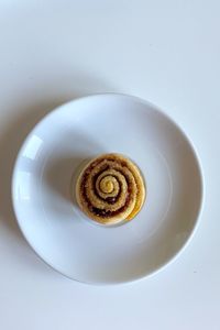 High angle view of shell on white background