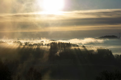 Sunlight streaming through silhouette trees against sky during sunset