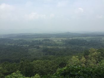 Scenic view of forest against sky