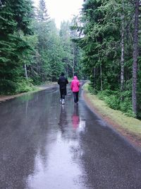 Rear view of people walking on wet road in forest
