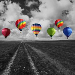 Colorful balloons flying in sky