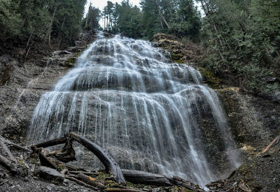 Scenic view of waterfall in forest