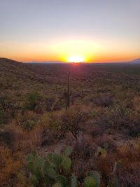 Scenic view of field against sky during sunset