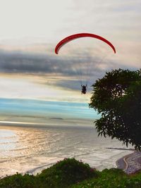 Person paragliding over beach against sky during sunset