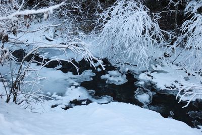 Close-up of frozen water