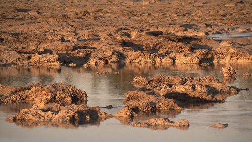 Rock formations in water