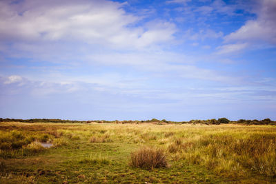 Scenic view of field against sky