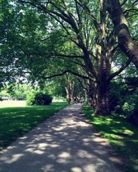 View of trees on landscape