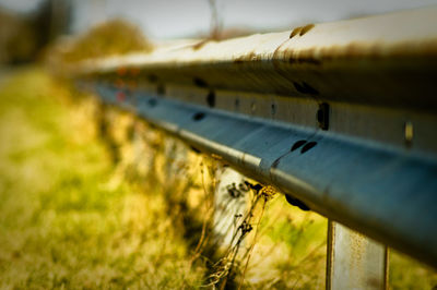 Close-up of cropped car