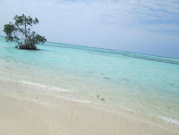 Scenic view of beach against sky