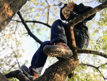 Low angle view of a man holding tree