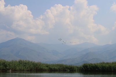 Birds flying over lake against mountains