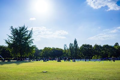 People on field by trees against sky