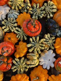 High angle view of pumpkins for sale in market