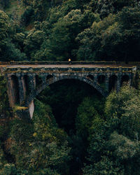 Bridge over river against trees