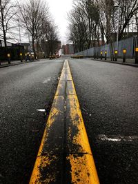 Road along bare trees