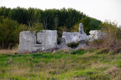 Built structure on field against trees