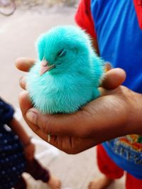 Midsection of woman holding bird