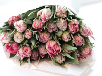 Close-up of bouquet against white background