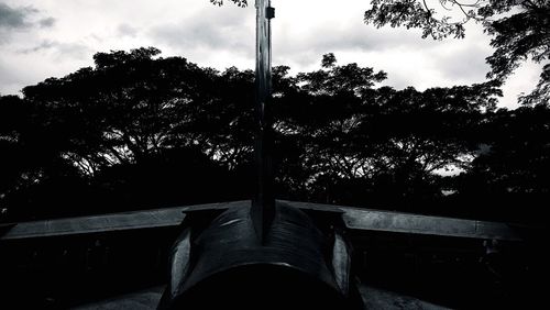 Low angle view of tree against sky