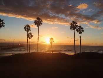 Silhouette of trees at sunset