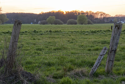 Wooden fence on field against sky