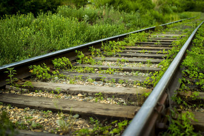 Surface level of railroad tracks on field