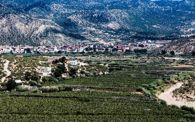 Scenic view of agricultural field and houses against mountains