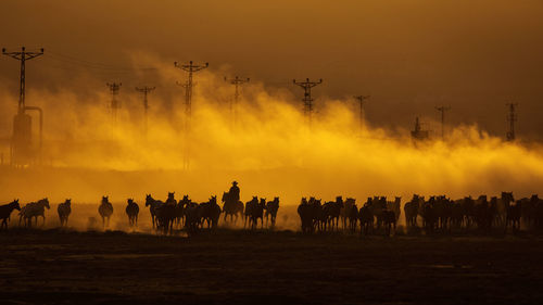 Panoramic view of silhouette people on field against sky during sunset
