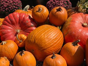 High angle view of pumpkins in market