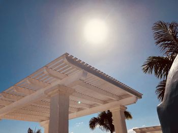 Low angle view of palm trees against sky