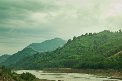 Scenic view of field against sky