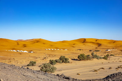 Scenic view of desert against clear blue sky