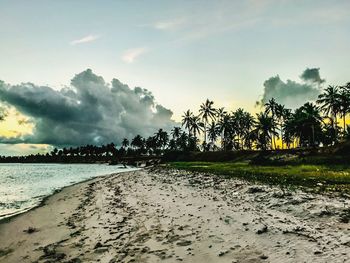 Scenic view of beach against sky