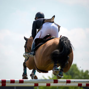 Rear view of jockey jumping horse over hurdles against sky