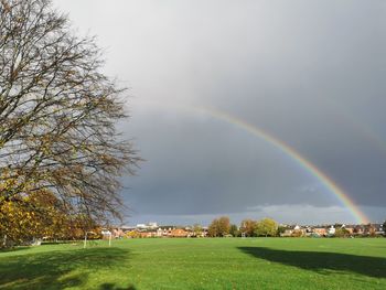 rainbow