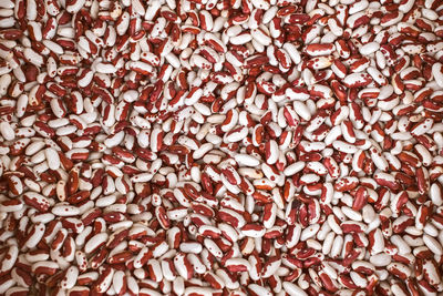 Dry phaseolus kidney bean texture