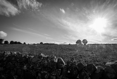 View of field against sky