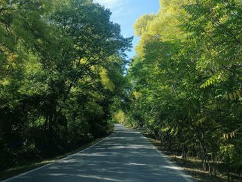 Empty road amidst trees against sky