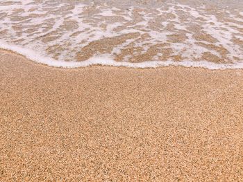 Scenic view of beach