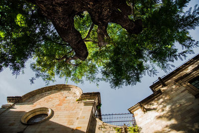 Low angle view of historic building against sky