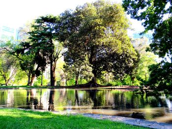 Scenic view of lake by trees against sky