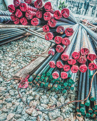 High angle view of red flowering plant on metal