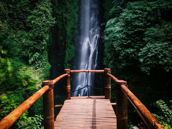 Scenic view of waterfall in forest