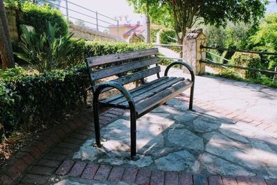 Plants in park