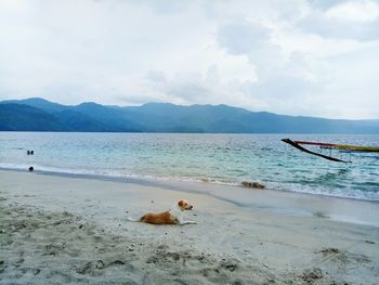 Scenic view of sea against sky