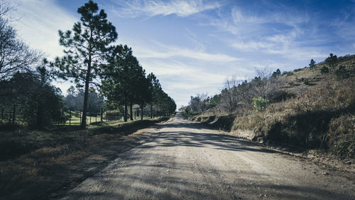 Road amidst trees against sky