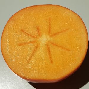 Close-up of lemon slice over white background